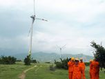 Đua làm điện gió để hưởng giá tốt