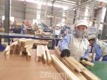 Vốn FDI vào ngành gỗ: Đừng vì "hạt sạn" mà bỏ "nồi cơm" Vốn FDI vào ngành gỗ: Đừng vì "hạt sạn" mà bỏ "nồi cơm"