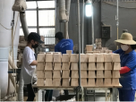Ngành gỗ duy trì tăng trưởng trong dịch Covid-19