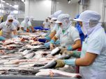 Xuất khẩu thủy sản: Sụt giảm và kỳ vọng phục hồi