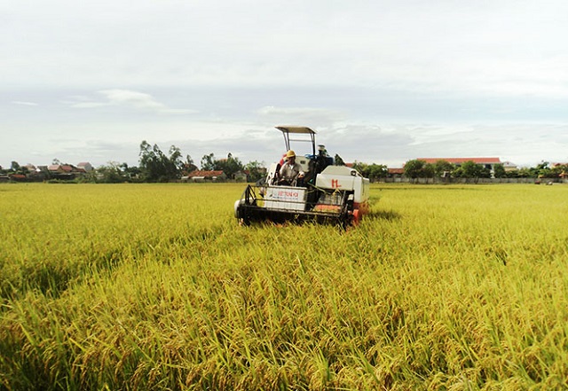 cơ giới h&oacute;a n&ocirc;ng nghiệp
