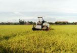 Cần đẩy mạnh cơ giới hóa trong sản xuất nông nghiệp