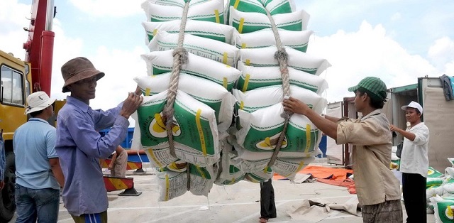 Xuất khẩu gạo l&agrave; cần thiết nhưng phải ch&uacute; &yacute; đến vấn đề an ninh lương thực trong nước