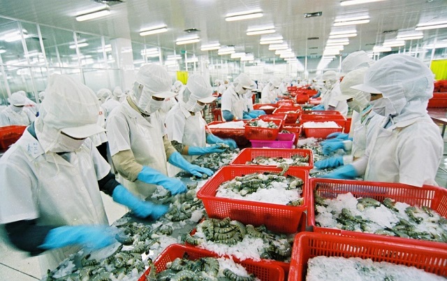 Nhiều doanh nghiệp thủy sản khó khăn do ảnh hưởng của dịch Covid - 19