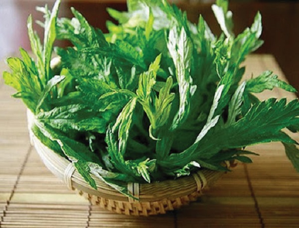 ngải cứu chữa gai cột sống an to&agrave;n,, hiệu quả