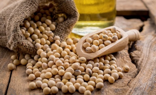 Đậu n&agrave;nh được m&ecirc;nh danh l&agrave;