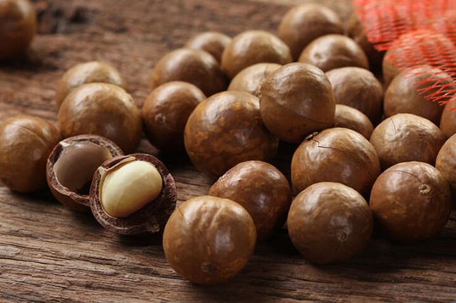 Hạt mắc ca được xem l&agrave; hạt dinh dưỡng ngon nhất v&agrave; đắt đỏ nhất trong c&aacute;c loại hạt