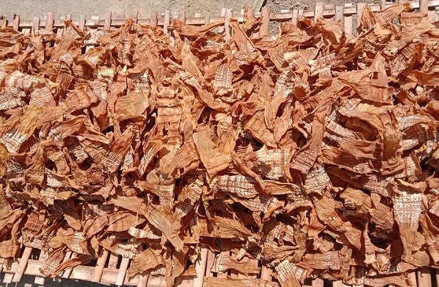 Măng nứa t&eacute;p Mai Lạp được chế biến ho&agrave;n to&agrave;n thủ c&ocirc;ng, kh&ocirc;ng sử dụng h&oacute;a chất.