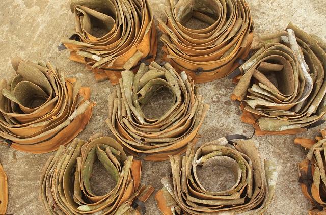 Mấy ng&agrave;y qua, quế được thương l&aacute;i thu mua để xuất b&aacute;n qua nhiều thị trường