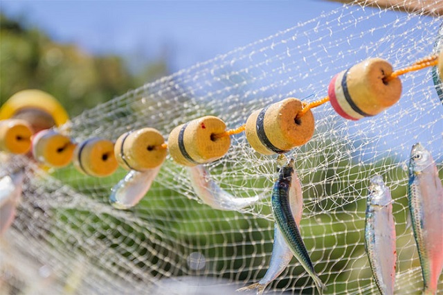 Lưới, d&acirc;y c&acirc;u c&aacute; v&agrave; d&acirc;y thừng l&agrave; những nguồn r&aacute;c nhựa ch&iacute;nh g&acirc;y &ocirc; nhiễm m&ocirc;i trường biển