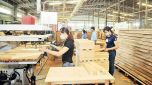 Ngành gỗ: Dự báo tăng trưởng bằng 0%
