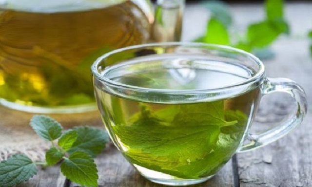 L&aacute; t&iacute;a t&ocirc; c&oacute; t&aacute;c dụng giữ h&agrave;m lượng acid uric trong m&aacute;u thấp nhất từ đ&oacute; gi&uacute;p điều trị bệnh g&uacute;t