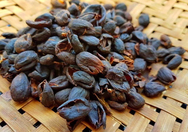 Chế biến tr&agrave; từ vỏ c&agrave; ph&ecirc; Arabica l&agrave; m&ocirc; h&igrave;nh mới hứa hẹn mang lại hiệu quả kinh tế cao, cần được nh&acirc;n rộng