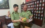 Hàng giả, hàng nhái: Bắt giữ 90.000 gói thực phẩm bảo vệ sức khỏe xâm phạm nhãn hiệu Hàng giả, hàng nhái: Bắt giữ 90.000 gói thực phẩm bảo vệ sức khỏe xâm phạm nhãn hiệu
