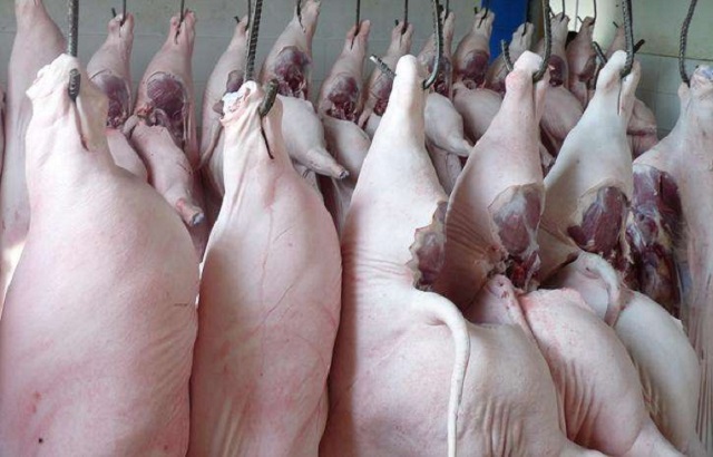 Giá thịt lợn hơi trên cả 3 miền đều neo ở mức cao, chưa thấy dấu hiệu xuống giá