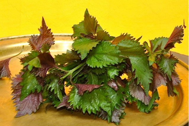 Trong rau t&iacute;a t&ocirc; c&ograve;n c&oacute; chứa h&agrave;m lượng vitamin A v&agrave; C cao gi&uacute;p dưỡng da, l&agrave;m s&aacute;ng v&agrave; chống l&atilde;o h&oacute;a