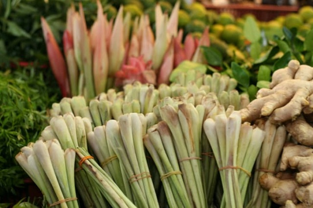 C&acirc;y sả sau khi thu nhập được trồng rải r&aacute;c ở tất cả c&aacute;c tỉnh của nước ta, đặc biệt ở v&ugrave;ng T&acirc;y Nguy&ecirc;n v&agrave; Nam Trung Bộ