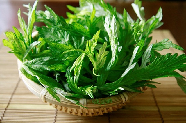 C&aacute;c nghi&ecirc;n cứu khoa học về dược t&iacute;nh của ngải cứu, c&aacute;c bộ phận của c&acirc;y đều c&oacute; c&ocirc;ng dụng chữa bệnh từ l&aacute; tới th&acirc;n