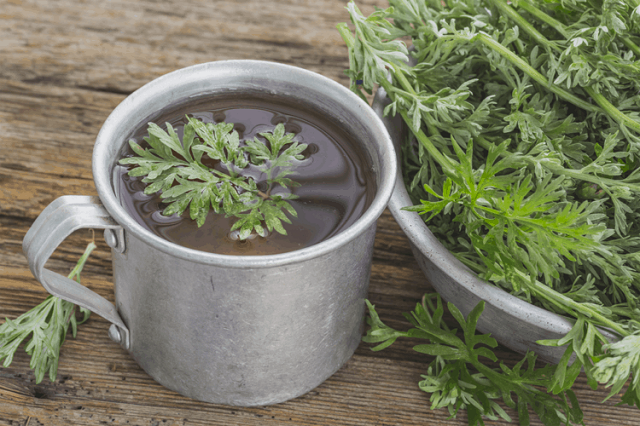 B&agrave;i thuốc ngải cứu với chanh v&agrave; bưởi l&agrave; b&agrave;i thuốc ho&agrave;n hảo cho người bị bệnh tho&aacute;t vị đĩa đệm