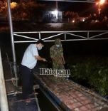Hàng giả, hàng nhái: An Giang bắt giữ vụ vận chuyển lợn nhập lậu bằng xuồng máy Hàng giả, hàng nhái: An Giang bắt giữ vụ vận chuyển lợn nhập lậu bằng xuồng máy