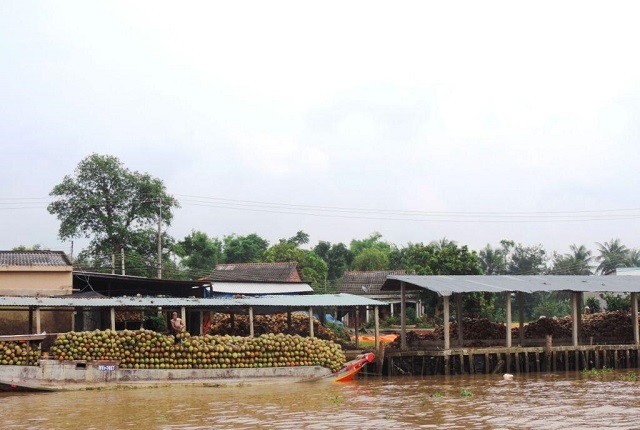 L&agrave;ng nghề chỉ xơ dừa An Thạnh (Mỏ C&agrave;y Nam) được UBND tỉnh Bến Tre cấp giấy chứng nhận l&agrave;ng nghề v&agrave;o năm 2006