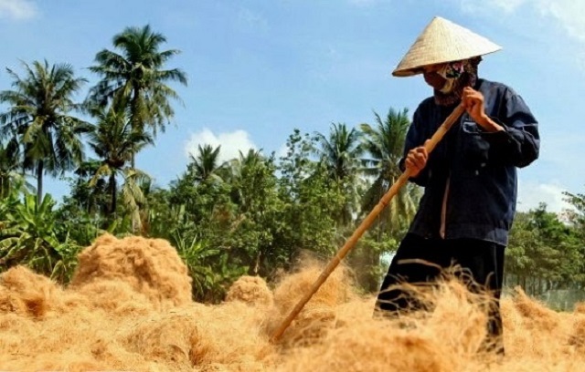 L&agrave;ng nghề l&agrave;m chỉ xơ dừa An Thạnh b&ecirc;n s&ocirc;ng Thơm hiện đang giải quyết việc l&agrave;m cho hơn 1.000 lao động