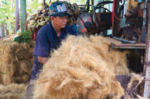 L&agrave;ng nghề truyền thống chỉ xơ dừa An Thạnh thu h&uacute;t nhiều lao động n&ocirc;ng th&ocirc;n