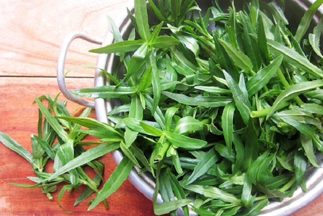 Kh&ocirc;ng chỉ l&agrave; loại rau gia vị, rau ngổ c&ograve;n được biết đến như một c&acirc;y thuốc để cải thiện l&agrave;n da cho chị em phụ nữ