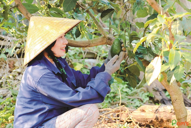 Mỹ phẩm thiên nhiên sạch, an toàn từ nông sản hiện nay đang được người dùng rất ưa chuộng