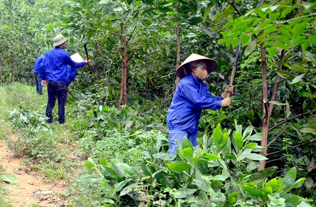 Một số nguy&ecirc;n tắc trong c&ocirc;ng t&aacute;c, đổi mới quản l&yacute; c&aacute;c c&ocirc;ng ty n&ocirc;ng, l&acirc;m nghiệp