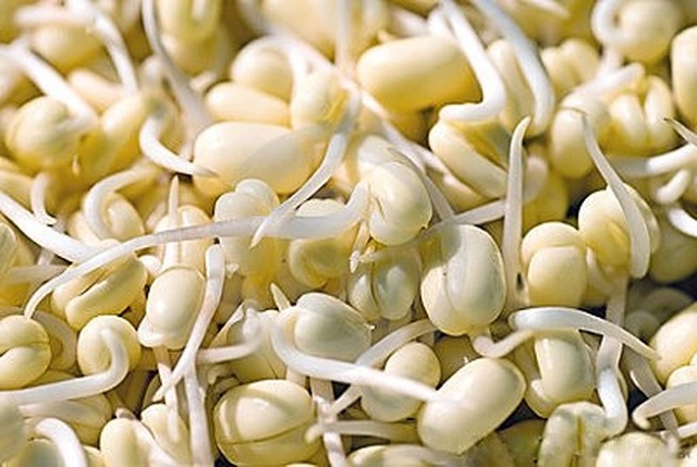 Mầm đậu n&agrave;nh gi&uacute;p cải thiện sắc đẹp v&agrave; sức khỏe của phụ nữ