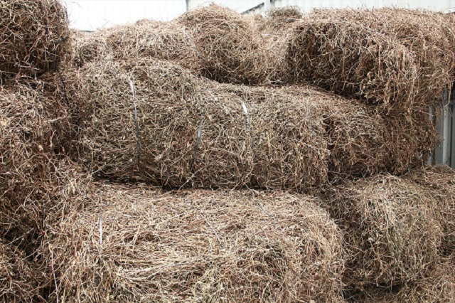 Sương s&aacute;o của x&atilde; Hiệp Hưng hiện nay được xuất b&aacute;n cho ph&iacute;a Tập đo&agrave;n nước giải kh&aacute;t T&acirc;n Hiệp Ph&aacute;t  để sản xuất Tr&agrave; Thanh nhiệt giải độc Dr Thanh