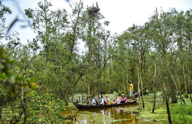 Kh&ocirc;i phục v&agrave; bảo tồn v&agrave;nh đai rừng ngập mặn để tăng cường khả năng chống chịu lũ lụt v&agrave; nước biển d&acirc;ng
