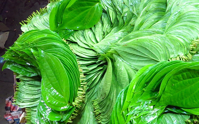 Sử dụng l&aacute; trầu kh&ocirc;ng để chữa vi&ecirc;m nhiễm phụ khoa vốn được nhiều chị em truyền tai nhau sử dụng