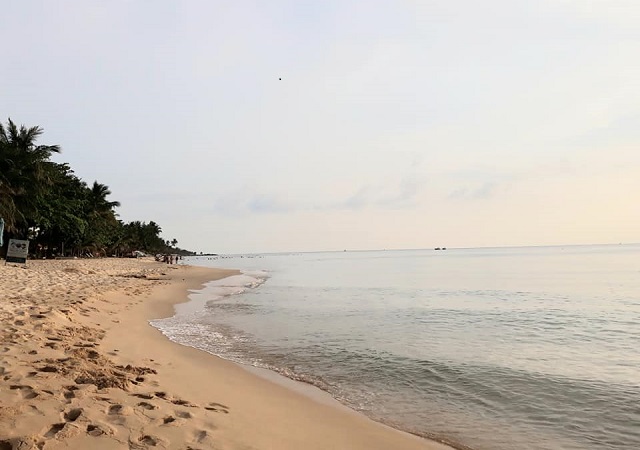 Chạy d&agrave;i ven b&atilde;i Trường l&agrave; những rặng dương, những h&agrave;ng dừa rợp m&aacute;t, du dương trong gi&oacute;