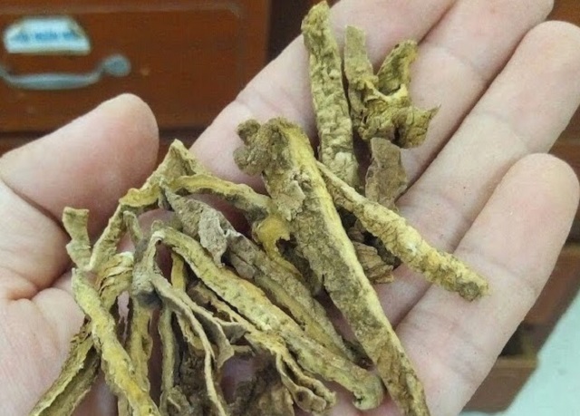 Củ b&igrave;nh v&ocirc;i thường được d&acirc;n gian phơi kh&ocirc; để t&iacute;ch trữ sắc thuốc d&ugrave;ng dần hoặc đem ng&acirc;m với rượu, sử dụng như một loại rượu thuốc bổ v&agrave; qu&yacute;