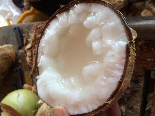 n&acirc;ng cao chuỗi gi&aacute; trị cho dừa Tr&agrave; Vinh