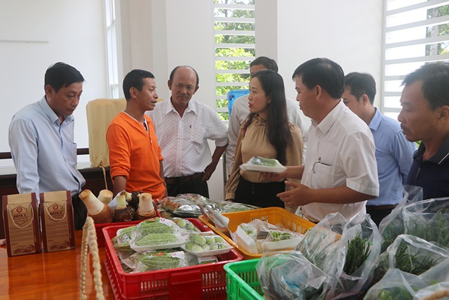 Công ty Cổ phần Thương mại Bách Hoá Xanh trao đổi với các cơ sở sản xuất, hợp tác xã