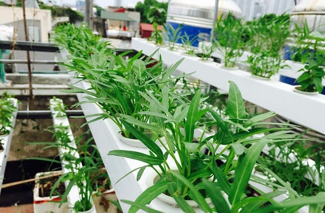 ứng dụng c&ocirc;ng nghệ n&ocirc;ng nghiệp th&ocirc;ng minh