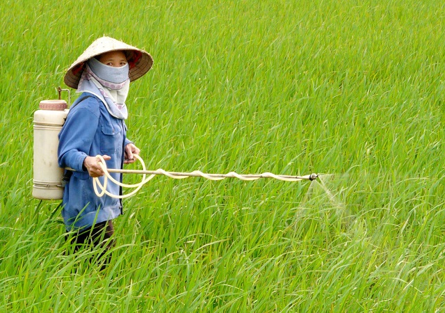 đề xuất dừng dự trữ quốc gia thuốc bảo vệ thực vật