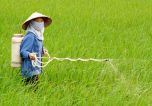 Bộ NN&PTNT: Đề nghị dừng dự trữ quốc gia thuốc bảo vệ thực vật