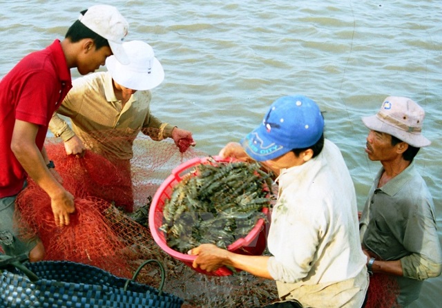 sản xuất gi&ocirc;ng t&aacute;i cơ cấu n&ocirc;ng nghiệp