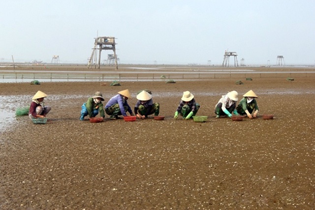 nu&ocirc;i trồng thuy sản ở Thanh H&oacute;a