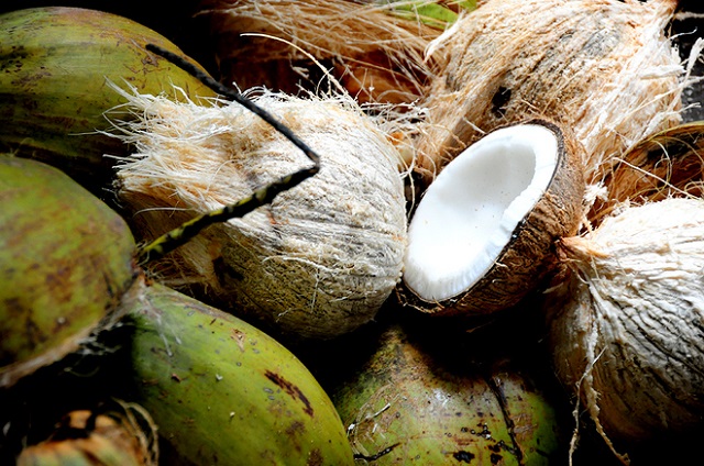 chế biến thủy sản, chế biến dừa, ngành công nghiệp chủ lực Bến Tre