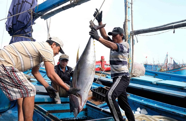 ngày đại dương thế giới