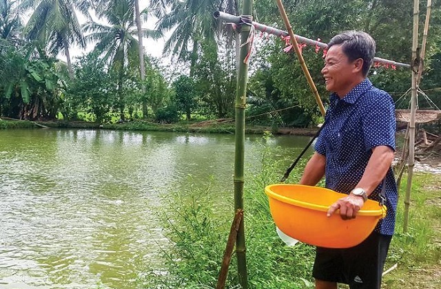 Nhiều giải ph&aacute;p đ&atilde; được đưa ra để kh&ocirc;i phục nguồn lợi c&aacute; đồng ở U Minh Thượng