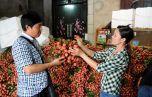 Lào Cai sẽ tạo điều kiện cho 30 nghìn tấn vải thiều qua biên giới