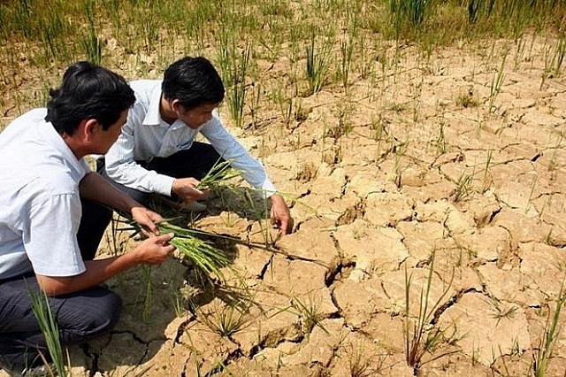 chống hạn ở miền trung