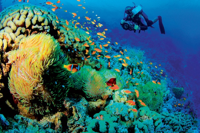 khu bảo tồn biển di động