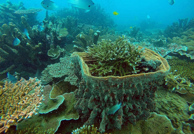 khu bảo tồn biển di động